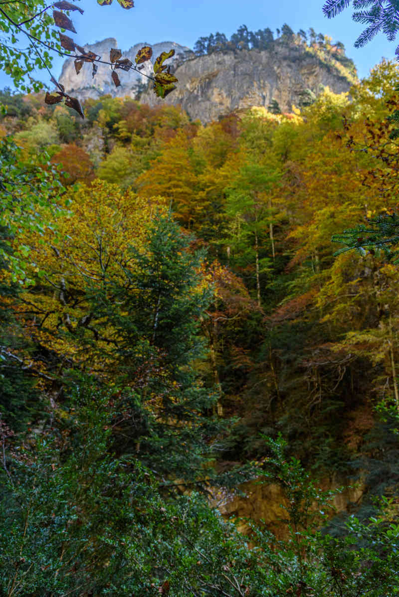 Huesca - parque nacional de Ordesa y Monte Perdido - valle de Añisclo 85 - cañon de Añisclo.jpg